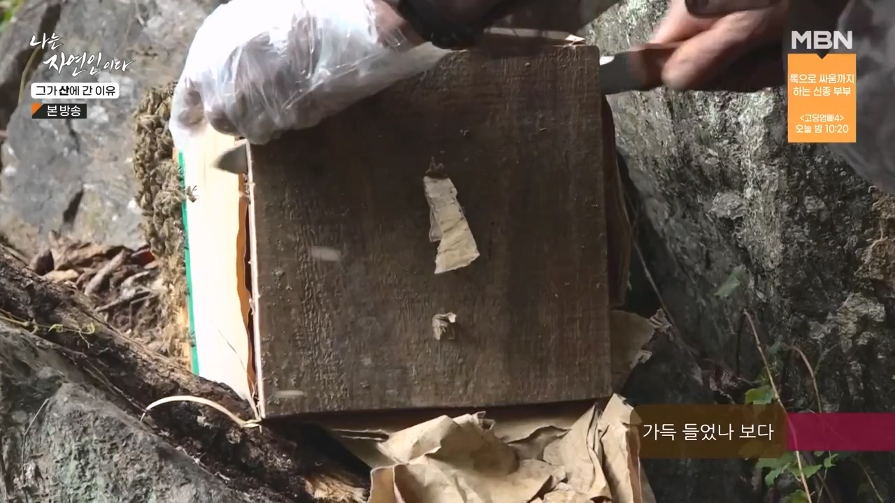 나는 자연인이다.E575.231012p-NEXT.mp4_20231012_200956.116.jpg