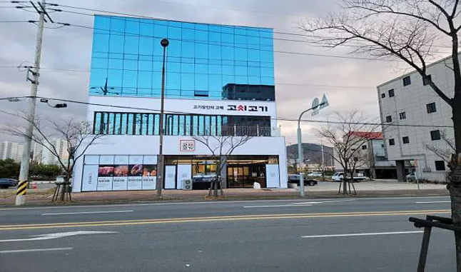 고씨고기 진영점