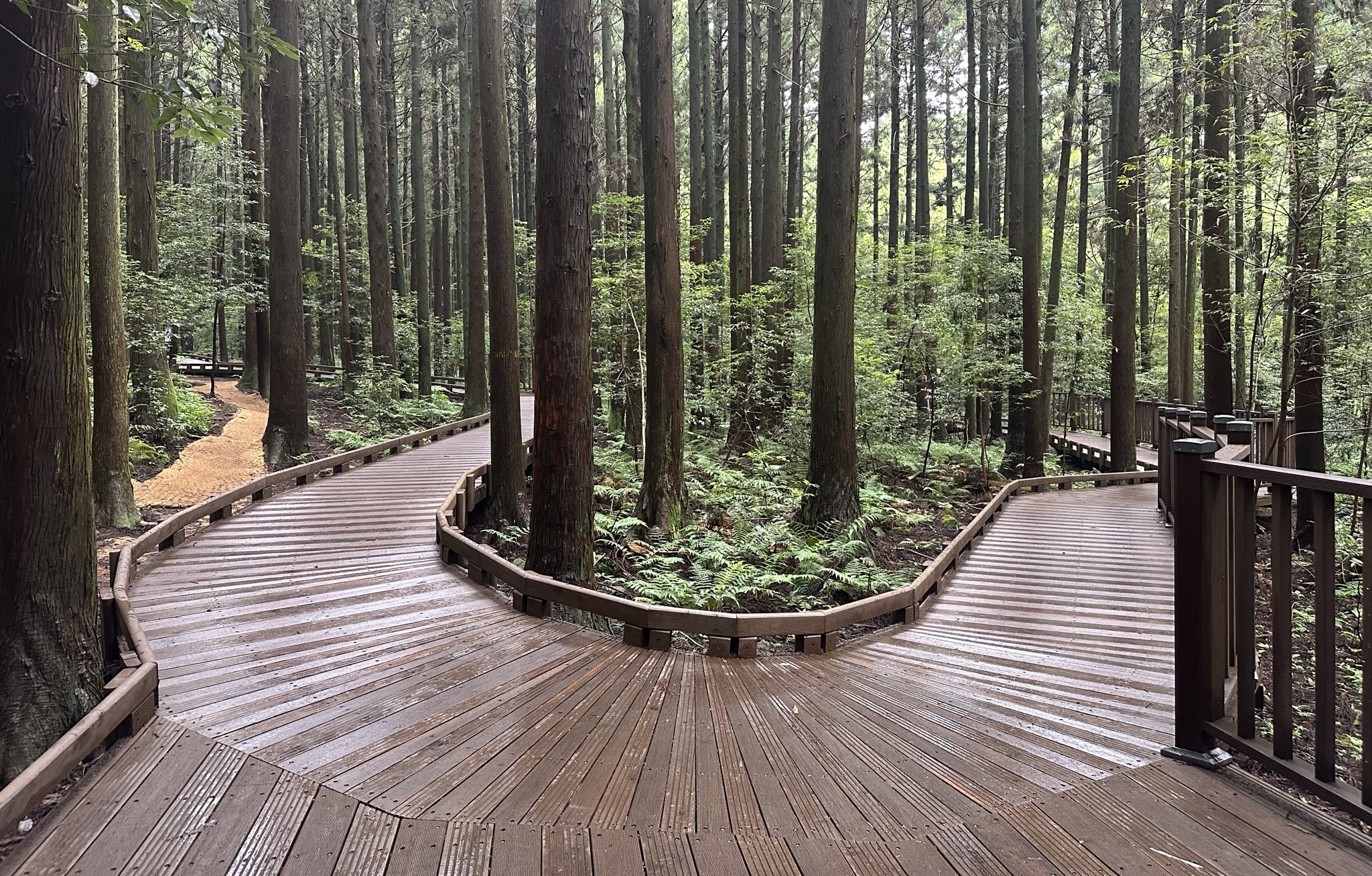 산책로
