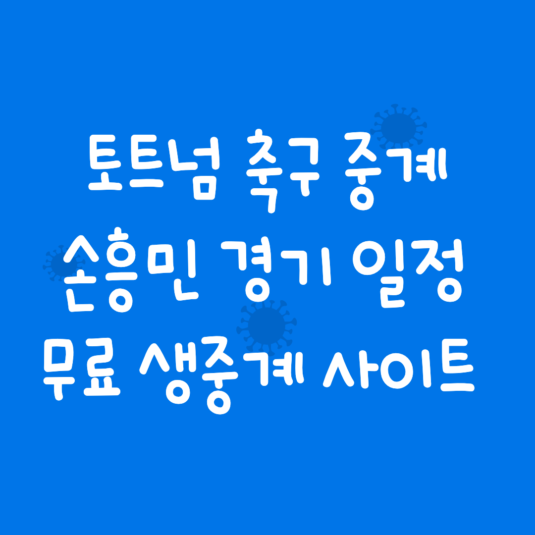 손흥민-중계