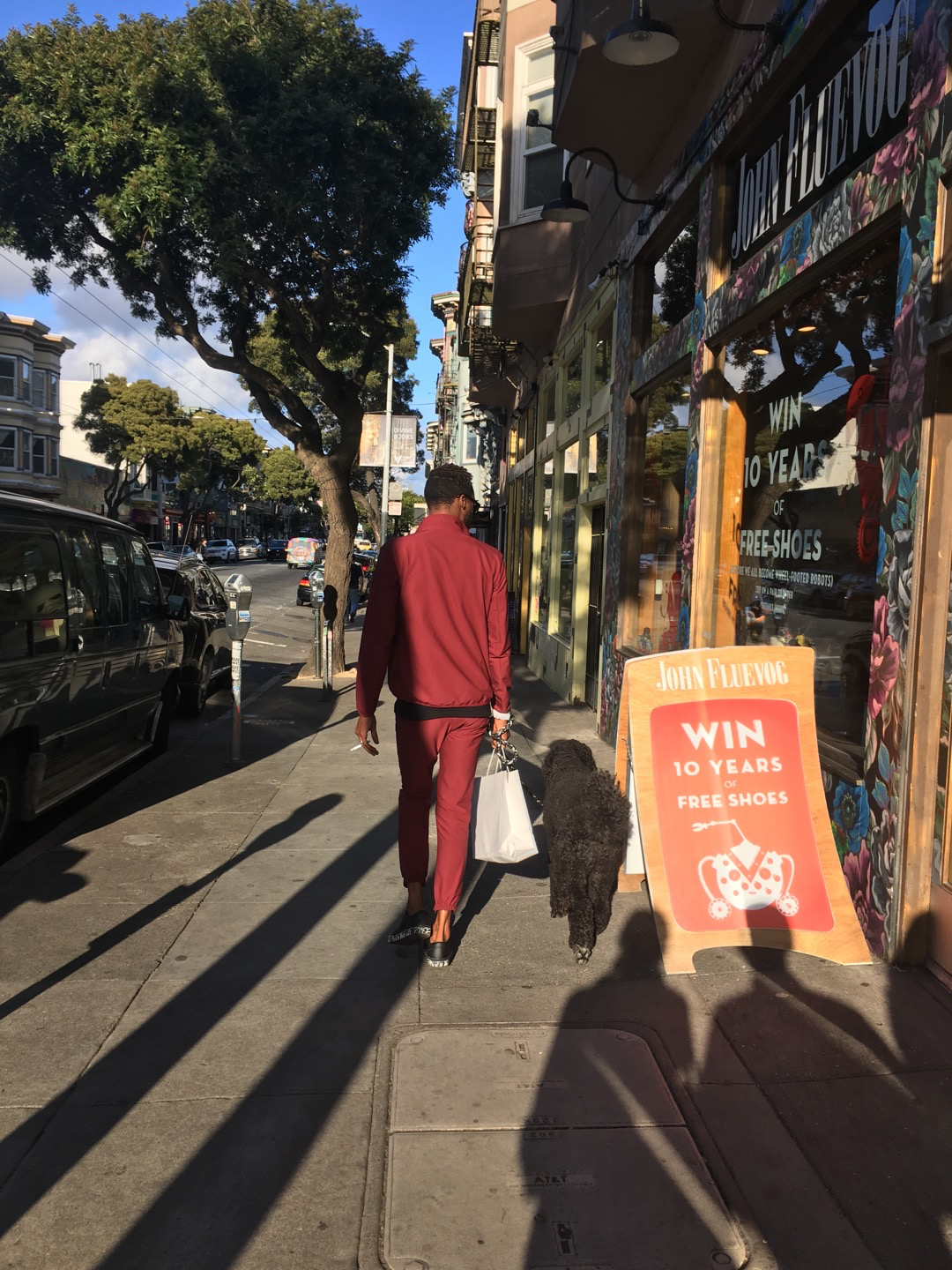 haight ashbury man walking the dog on the street