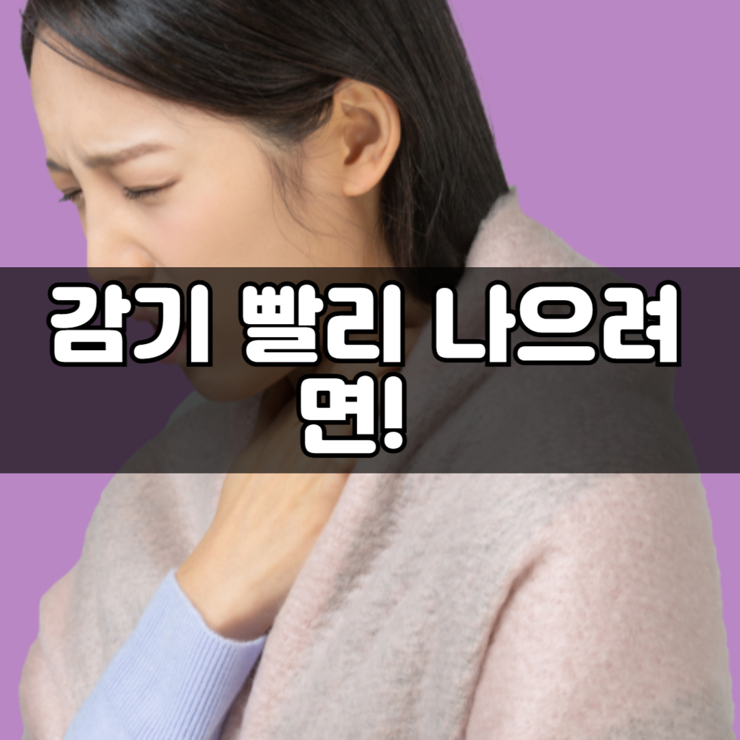 감기 빨리 나으려면! 아연이 풍부한 음식! 하루 아연 섭취량