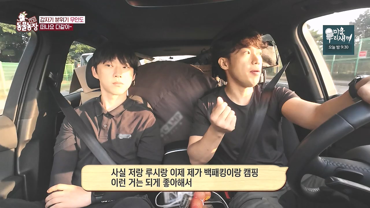 TV 동물농장.E1184.240812p-NEXT.mp4_20240811_172455.349.jpg
