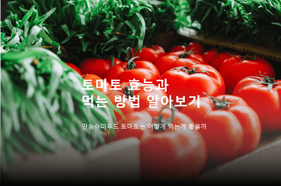 다이어트 할 땐 토마토? 칼로리 및 효능, 먹는법 알아보기