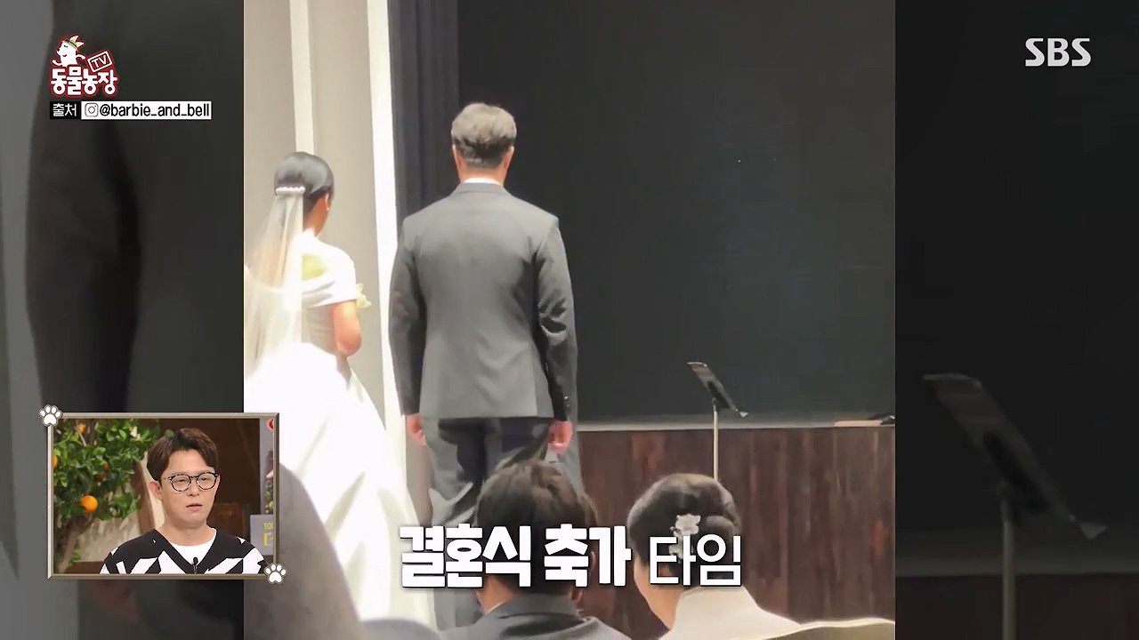 TV 동물농장.E1175.240610p-NEXT.mp4_20240609_160222.705.jpg