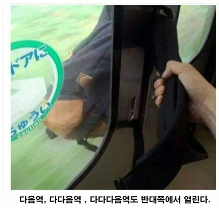  그 누구도 믿어주지 않은 지각 사유
