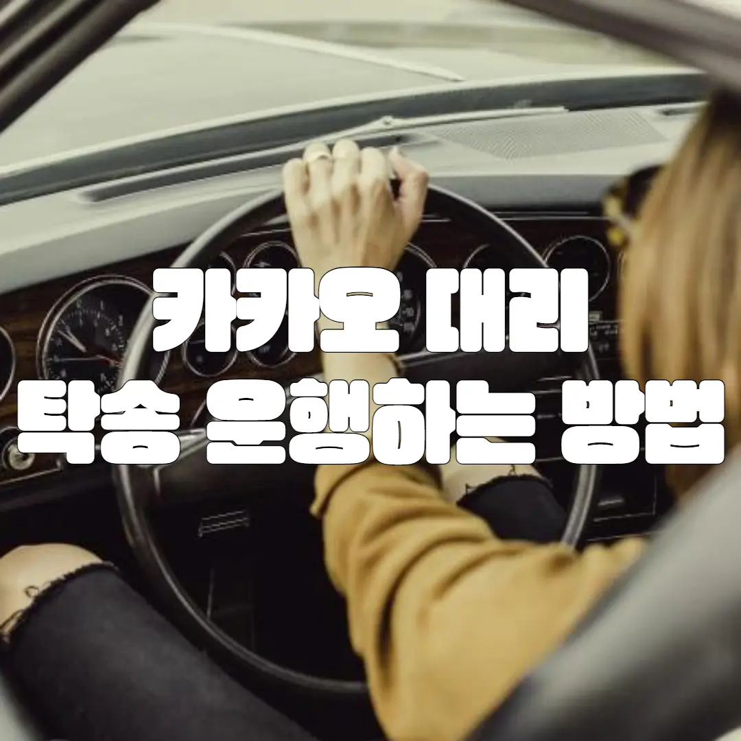 카카오 대리 탁송