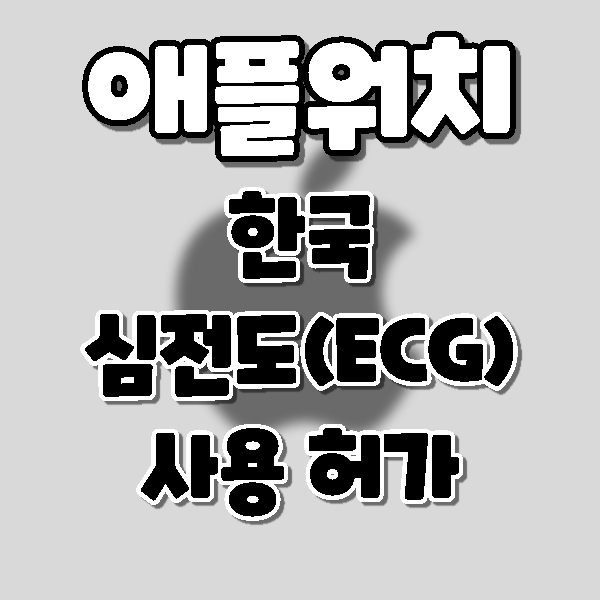  애플 워치 심전도(ECG)기능 한국 출시.
