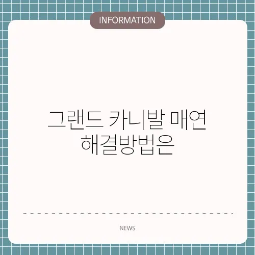 그랜드 카니발 매연 해결방법은
