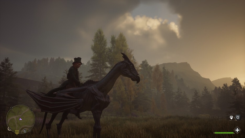 (Hogwarts Legacy) 사소한 게임 스크린샷 모음 78