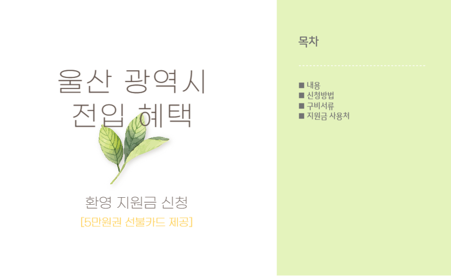 울산 광역시 전입 세대 환영 지원금