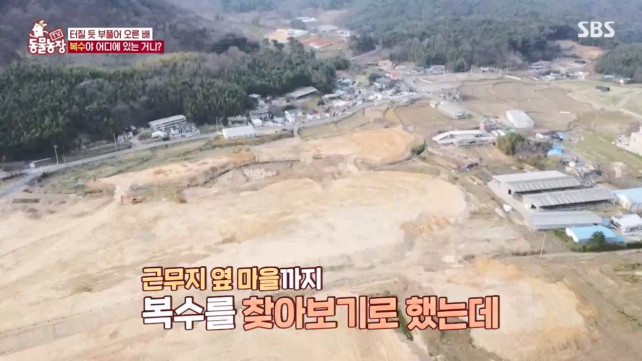 TV 동물농장.E1173.240527p-NEXT.mp4_20240526_155721.222.jpg