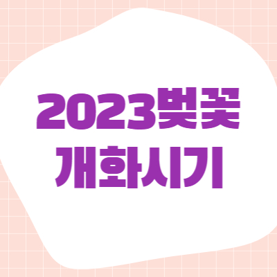 2023 벚꽃 개화시기 미리보기사진