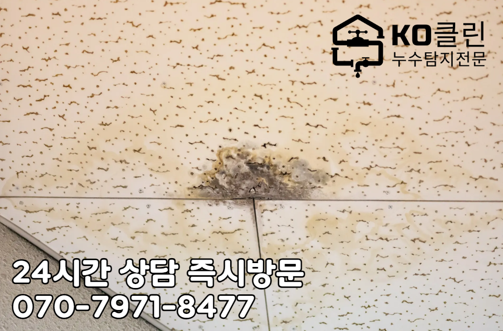 일산 정발산동 누수탐지2