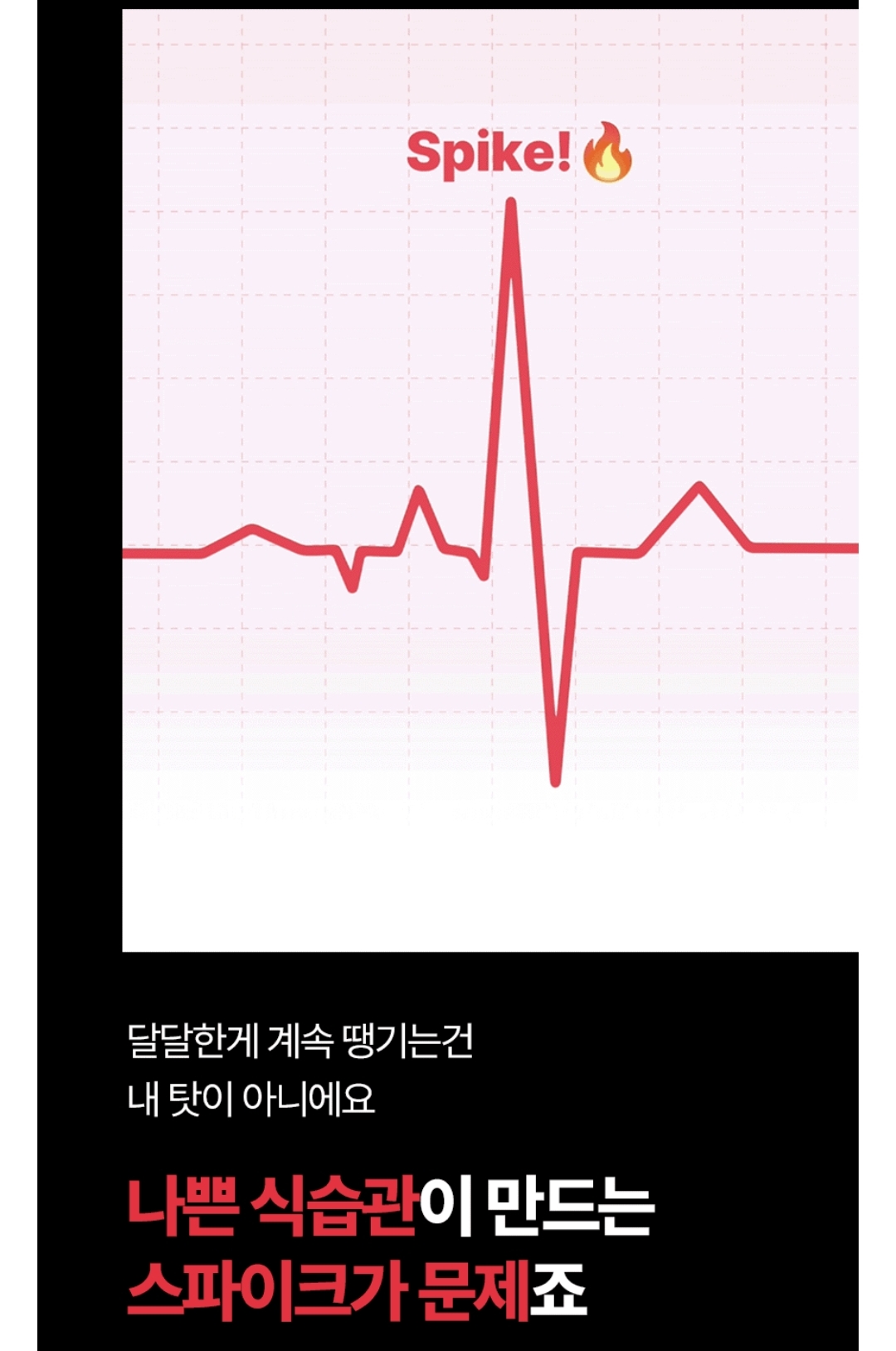 사용자 찐 후기