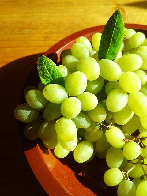  샤인머스켓 비싼이유