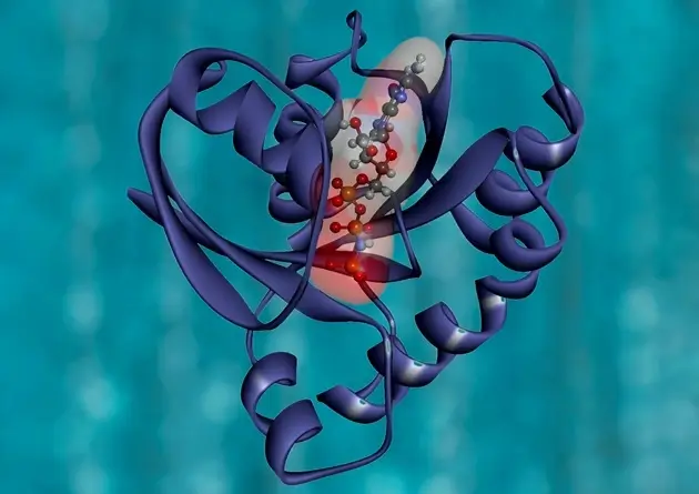 프리온-단백질의-모습을-시뮬레이션으로-표현한-장면