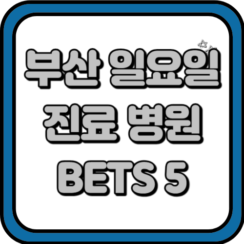 부산 일요일진료병원 BEST5