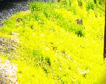  주식 신규 채널 - 2차 전지 대장주 천보 주가 알아보기!