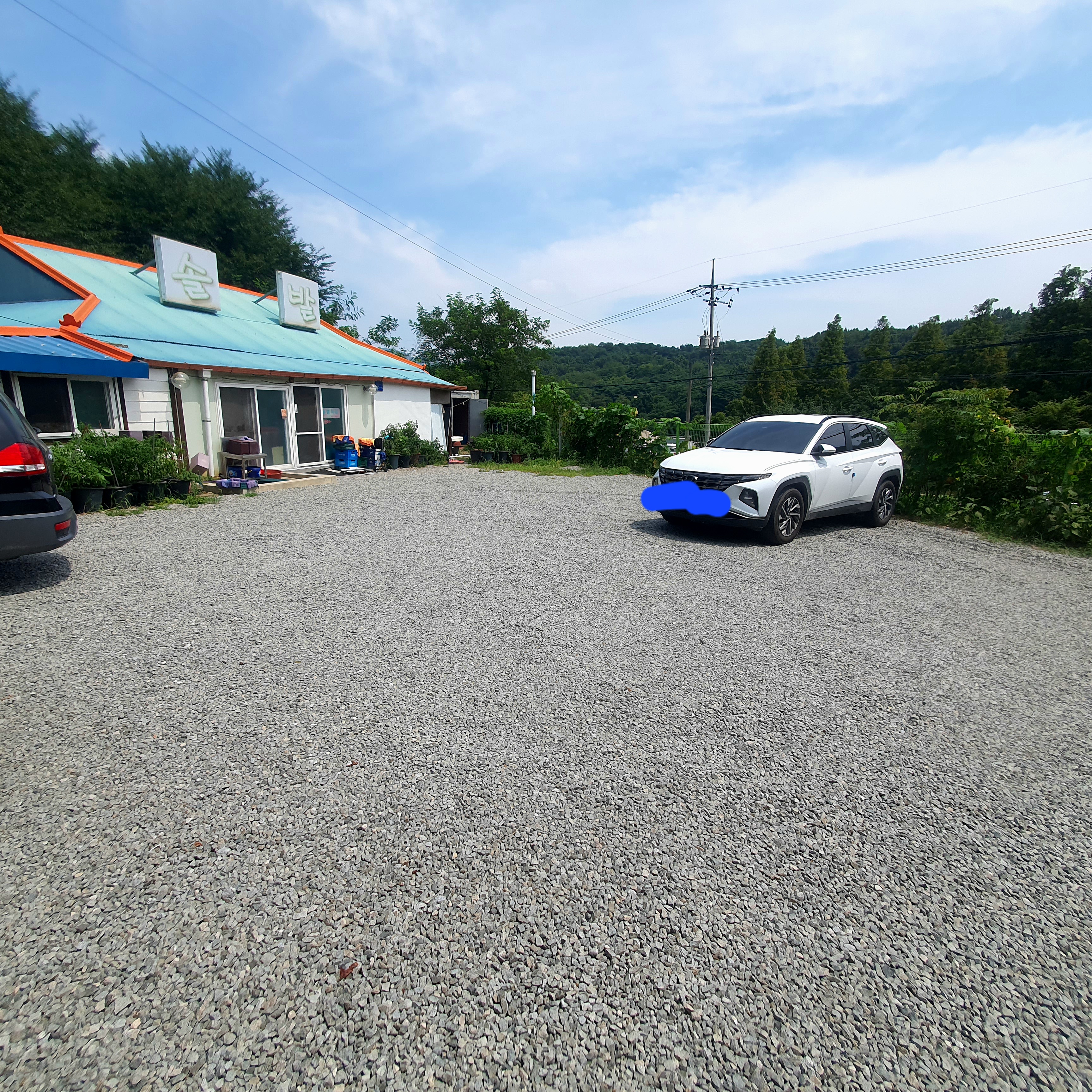 홍성 생선구이 맛집, 솔밭