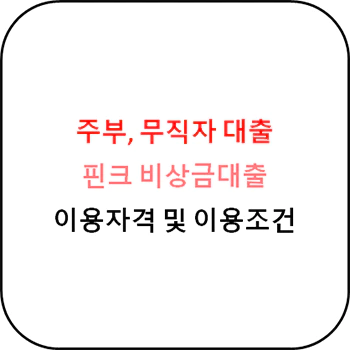  주부 무직자 대출 - 핀크 비상금대출 상세안내