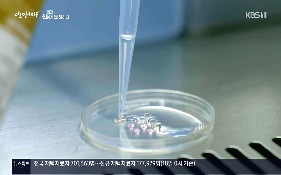 다큐 인사이트.E121.220819p.H264-F1RST.mp4_20220822_180824.442.jpg