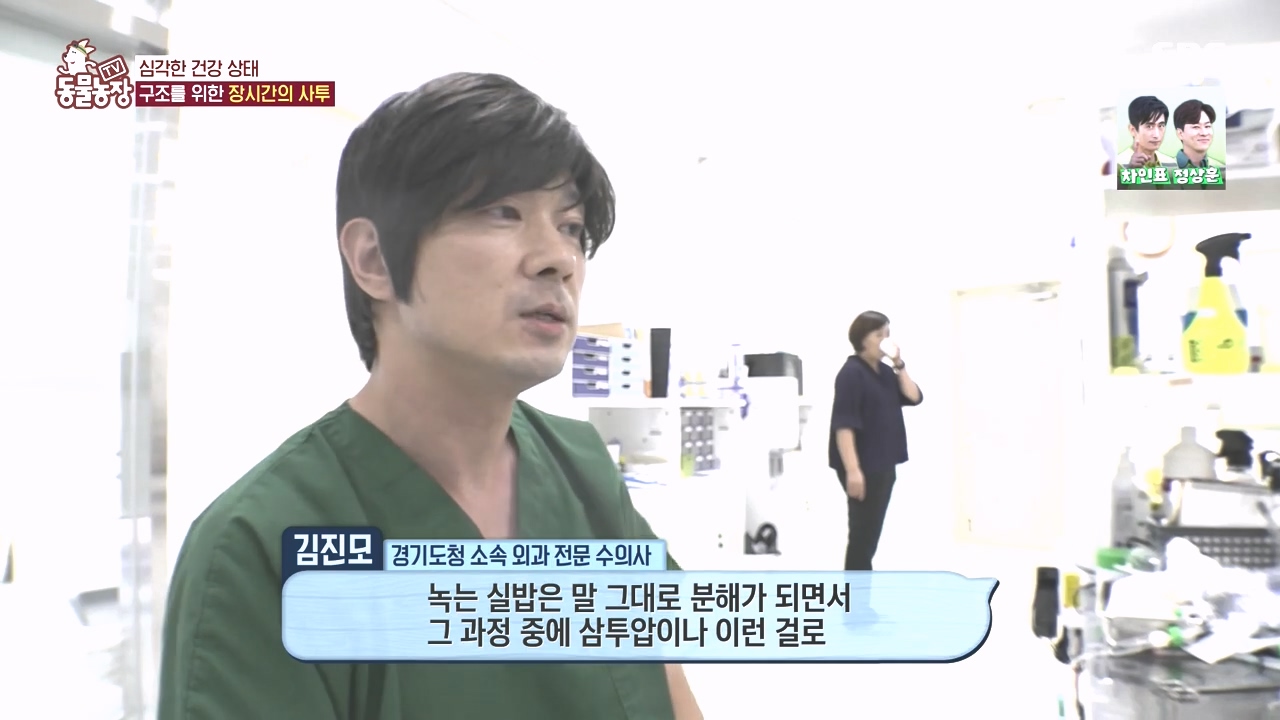 TV 동물농장.E1142.231023p-NEXT.mp4_20231022_172843.932.jpg