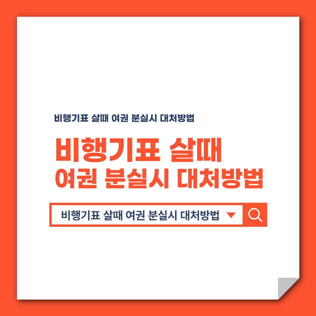 비행기표 살때 여권 분실시 대처방법