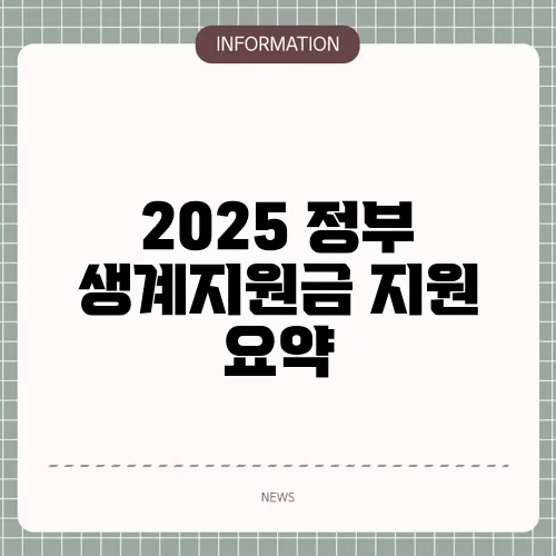 2025 정부 생계지원금 지원 요약