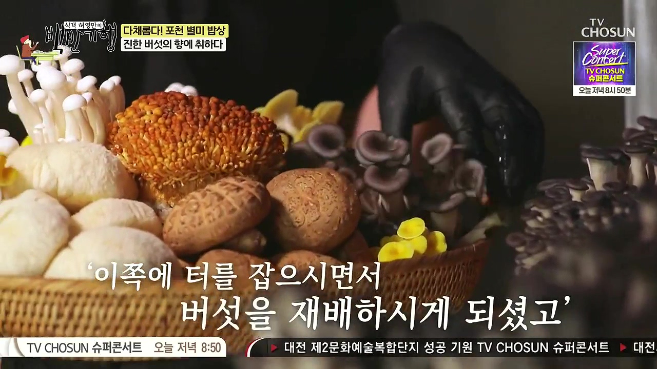 식객 허영만의 백반기행.E254.240631p-NEXT.mp4_20240701_193006.991.jpg