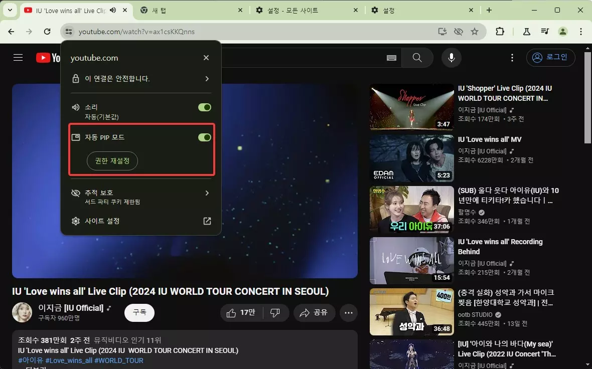 크롬 브라우저 자동 PIP 모드 활성화 하는 방법 캡처 5