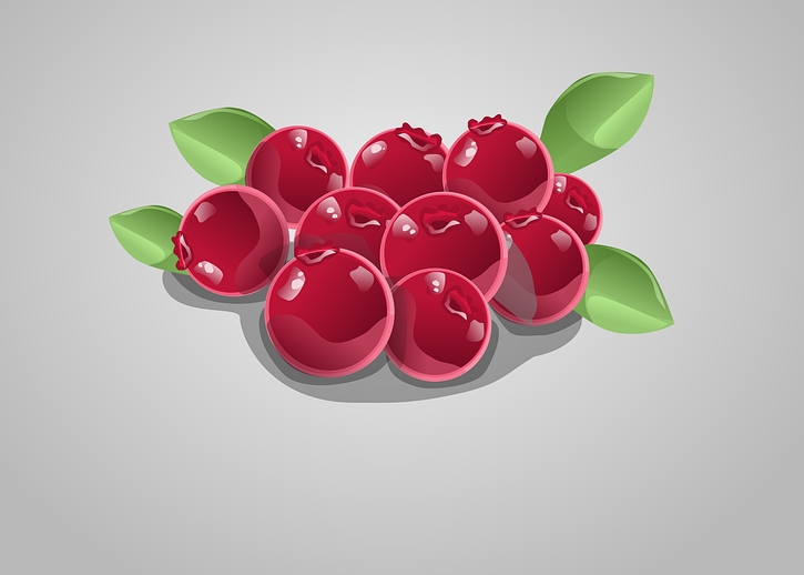cranberry 크렌베리 효능 장점 심장병&amp;#44; 협심증&amp;#44; 고혈압에 도움이 되는 이유!7