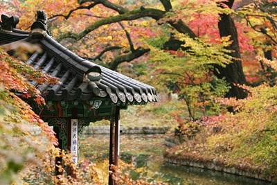 창덕궁 후원 예약 홈페이지 및 입장료