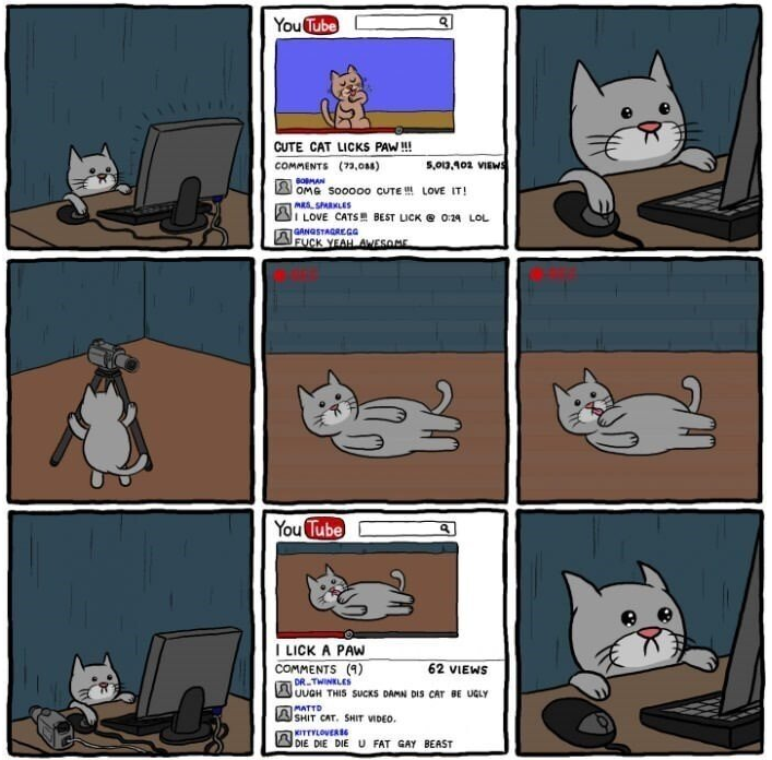  유튜브 시작하는 냥냥이.jpg