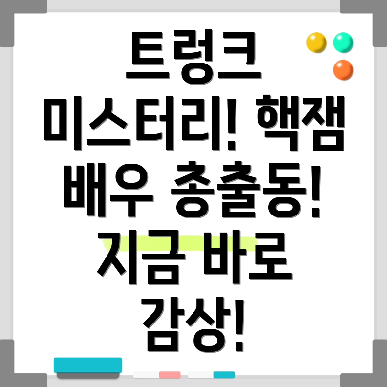 넷플릭스 트렁크