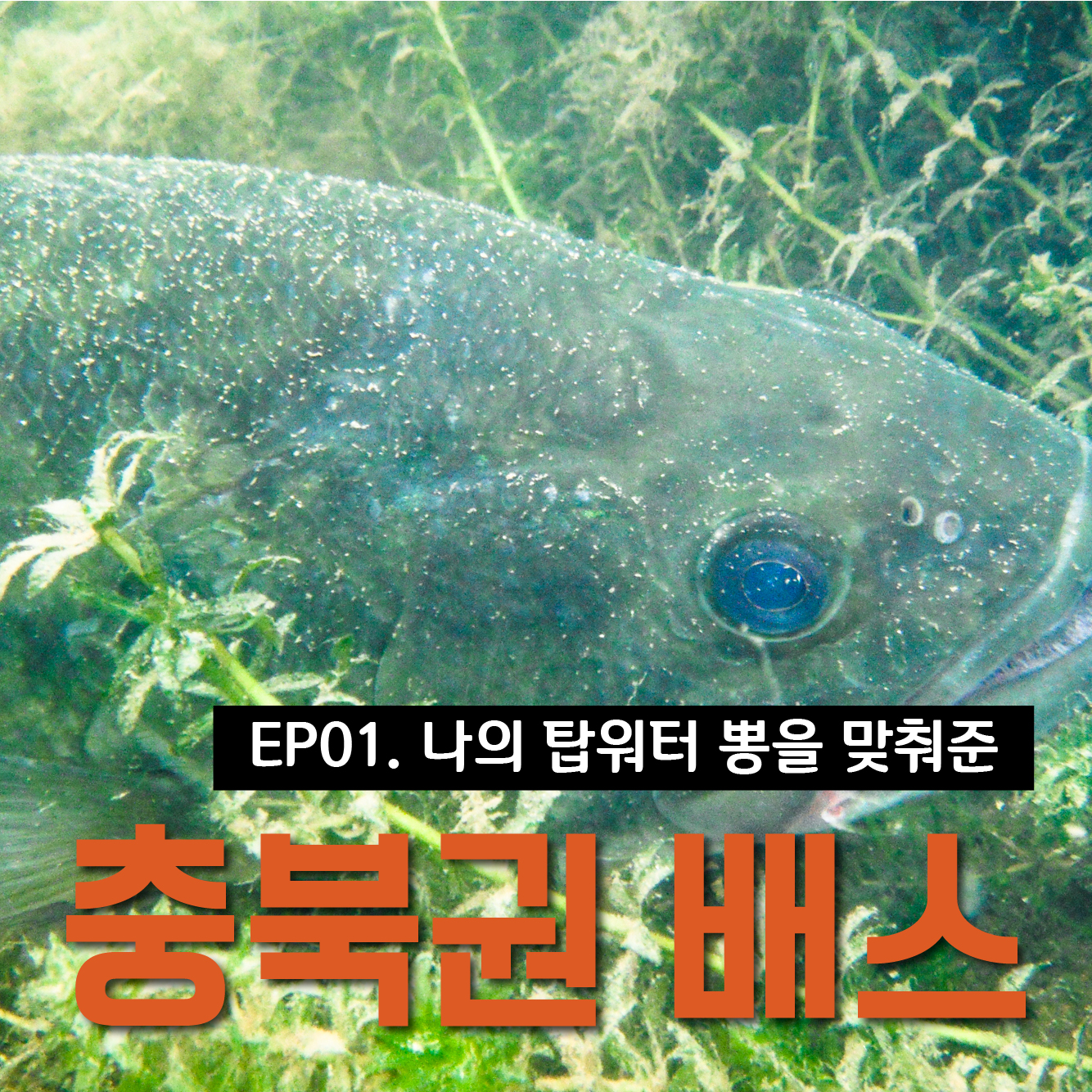  충북권, 처음으로 버징의 뽕을 느끼게 해준 필드! 달천.