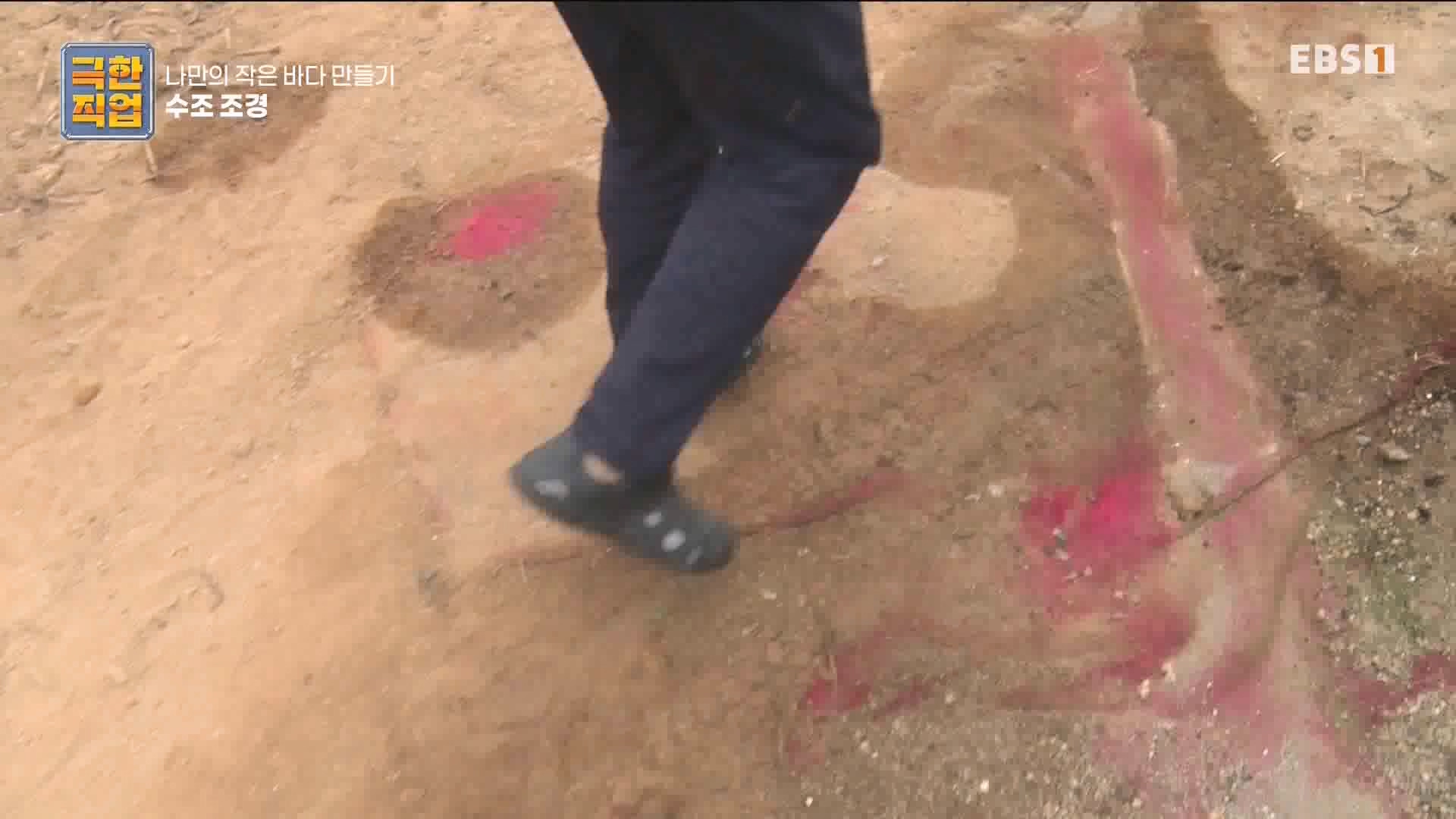[극한 직업] 수조 조경.mp4_20230822_204221.693.jpg