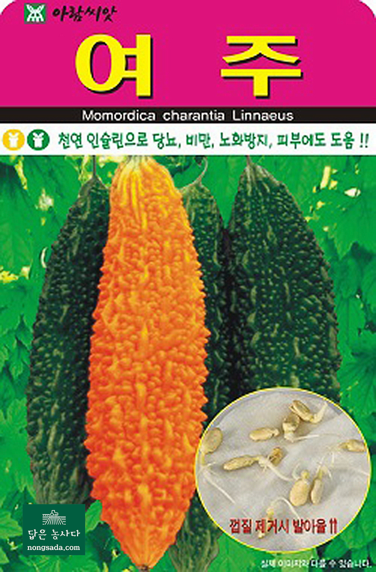 여주 씨앗종자: 건강과 미용에 탁월한 장형 생여주