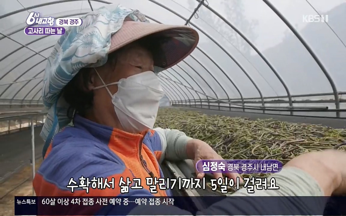 6시 내고향.E7518.220426p.H264-F1RST.mp4_20220504_190816.132.jpg