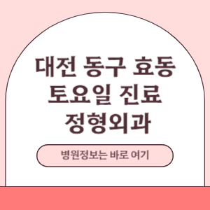 대전 동구 효동 토요일 정형외과 진료 병원