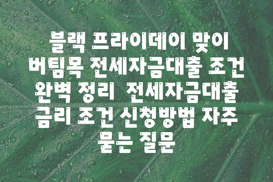  블랙 프라이데이 맞이 버팀목 전세자금대출 조건 완벽 정리  전세자금대출 금리 조건 신청방법 자주 묻는 질문