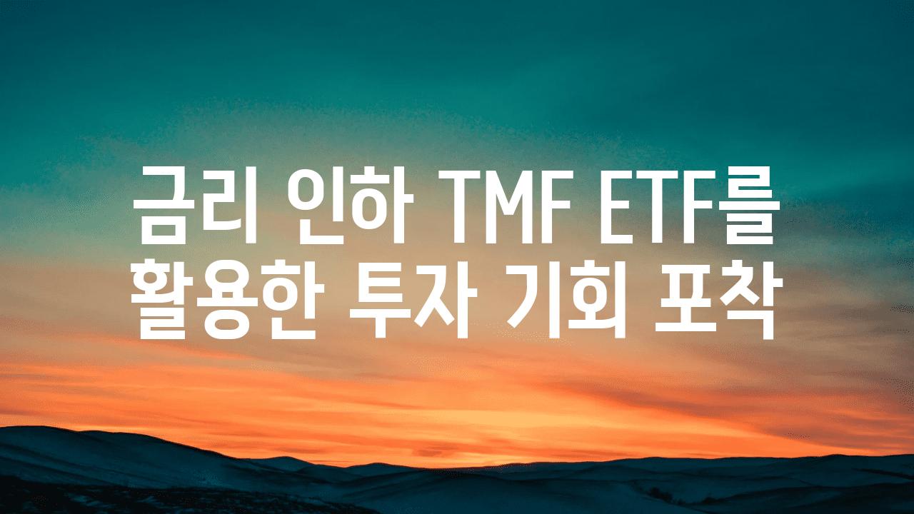 금리 인하 TMF ETF를 활용한 투자 기회 포착
