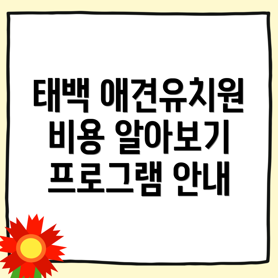 태백시 애견유치원