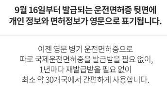 영문 운전면허증 유효 기간