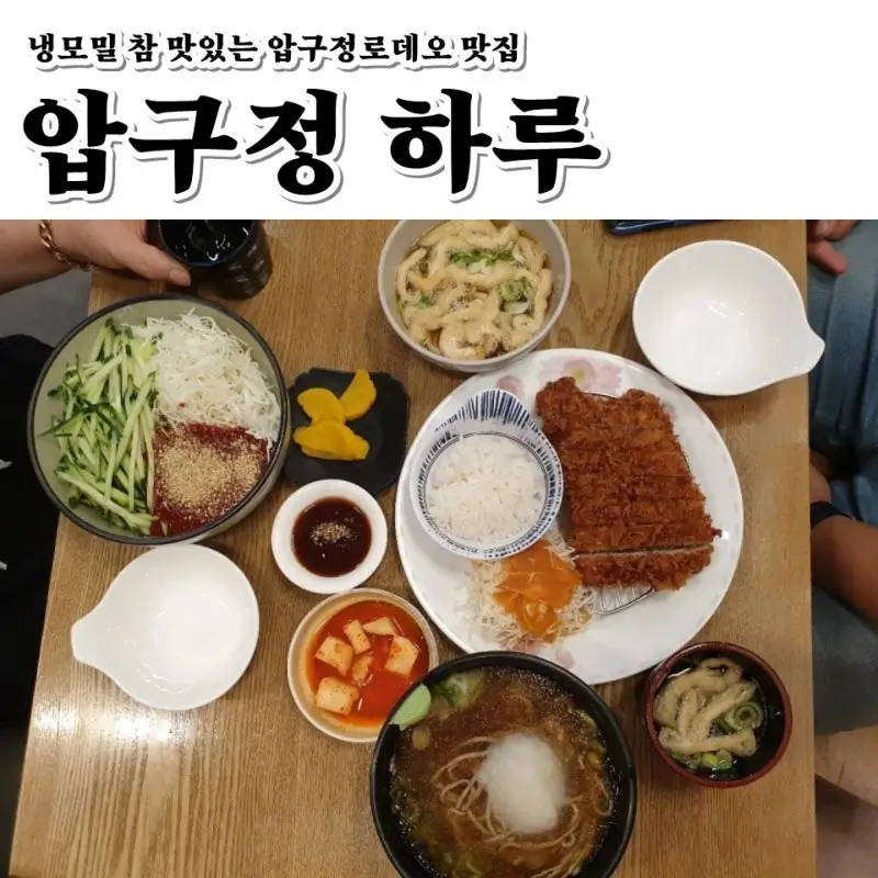 압구정-'압구정하루'
