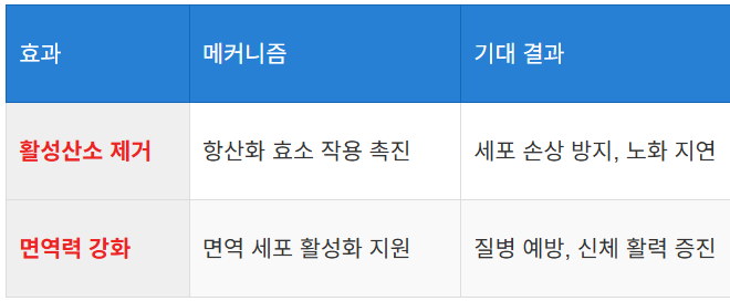 면역력 증진과 항산화 효과