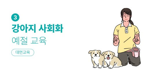 서울 반려동물 시민학교 신청하기