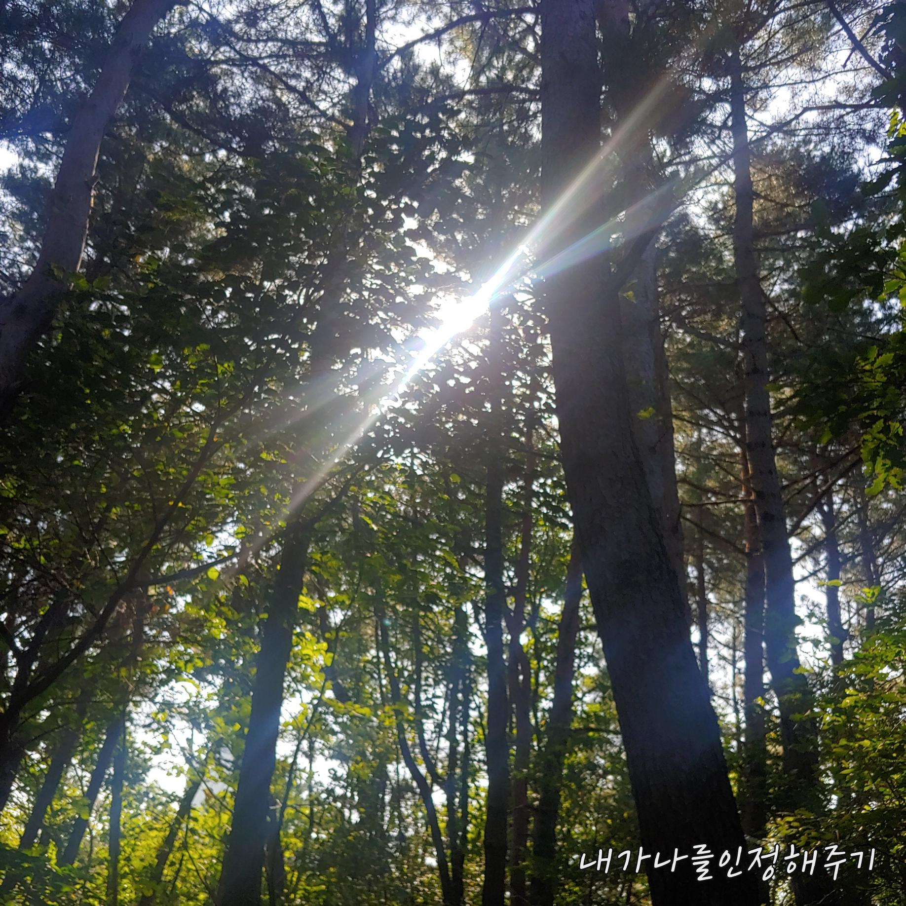  나를 달래는 시간