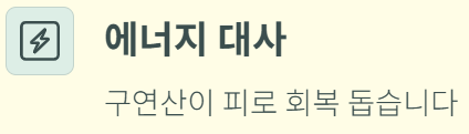 에너지 대사
