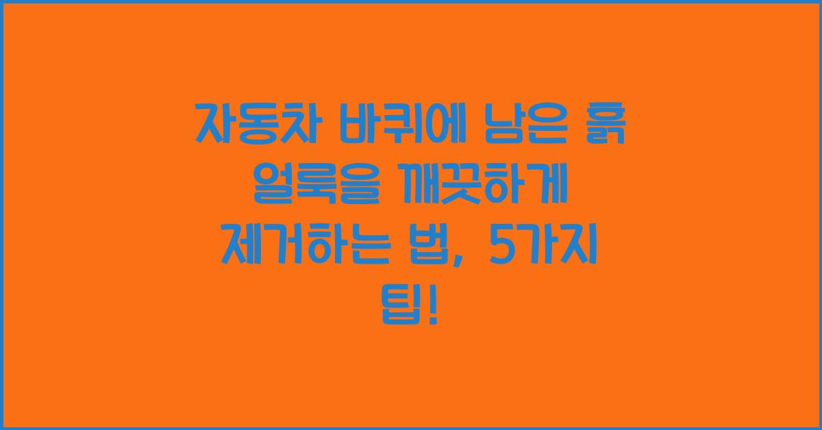 자동차 바퀴에 남은 흙 얼룩을 깨끗하게 제거하는 법